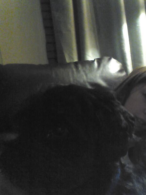 KesslerMalia's tweet photo. Dog-sitting my bff`s dog right now!! His name is charlie he is soooo cute http://t.co/o3HifFlY41
