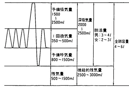 医師国家試験ろ ２号機 No Twitter 肺活量 2 85 L 機能的残気量 1 80 L 吸気予備量 2 13 L 呼気予備量 0 35 L のとき 全肺気量を求めよ Http T Co Yr7ogkxvfz Twitter