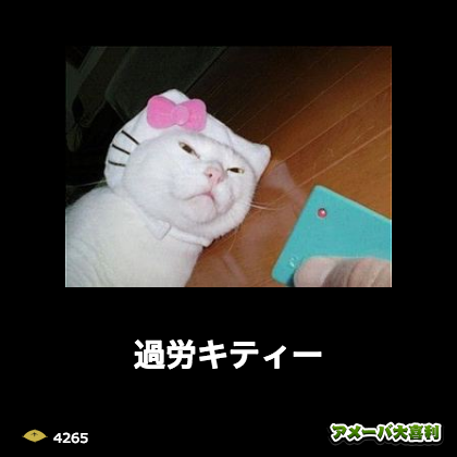 ãamebaoogiriãã®ç»åæ¤ç´¢çµæ