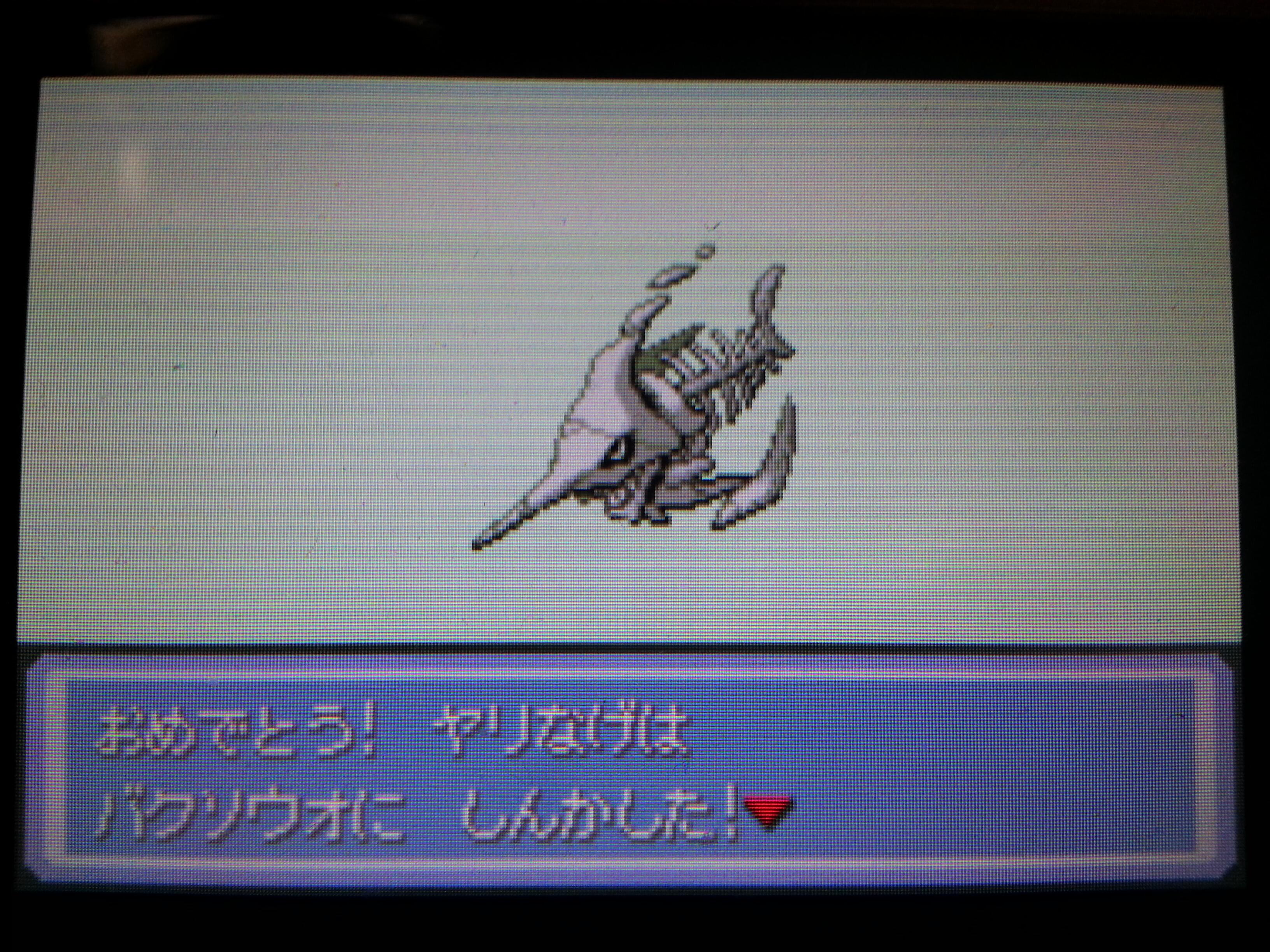Yoteki Yoteki Twitter