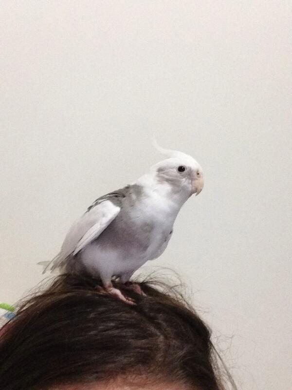 b_a_r_b_i_n_h_a's tweet image. 