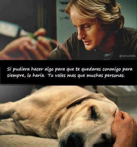 versoshits's tweet photo. Si pudiera hacer algo para que te quedaras conmigo para siempre, lo haría... http://t.co/Nao8SByXVi