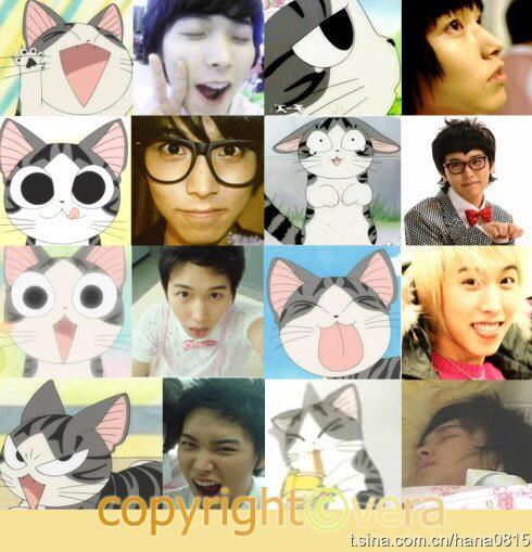 TeiyLove's tweet photo. คำว่า Neko ในภาษาญี่ปุ่นหมายถึงแมวน้อย แต่ในนิยายหรือการ์ตูน BL จะหมายความว่า ผู้ชายที่เป็นฝ่ายรับ
#ficneko #kyumin http://t.co/CSHpsaafRc