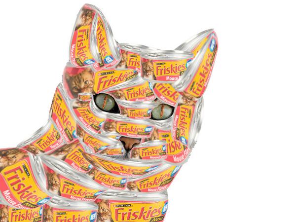 BCCtech's tweet photo. Victor's Arcimboldo inspired Friskies cat! #ArgyleMS #MCPSMD #Photoshop http://t.co/PoUgCvHCCi