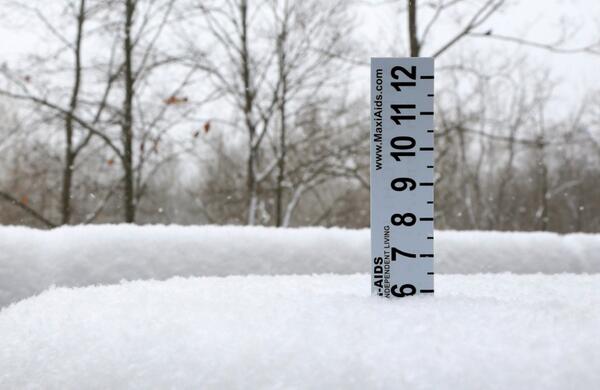 bobkevoian's tweet image. That’s what Mama likes…6 inches.
#JanuarySnow