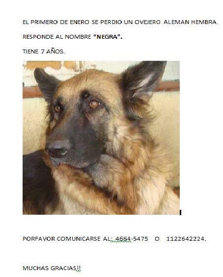 milinzaurraga's tweet photo. Retweet porfii :( http://t.co/xaqBORRgXZ