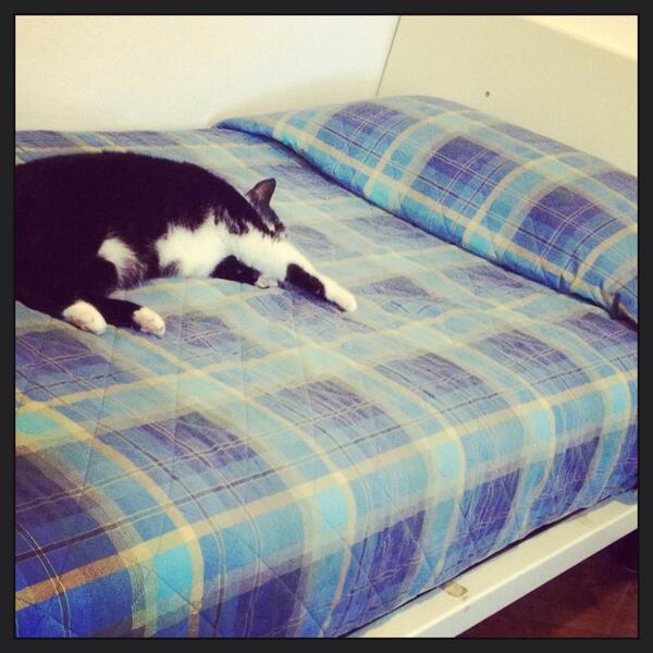 LorenzoLupini's tweet photo. #Bart #nap #attack http://t.co/GDT6kWd6Cs