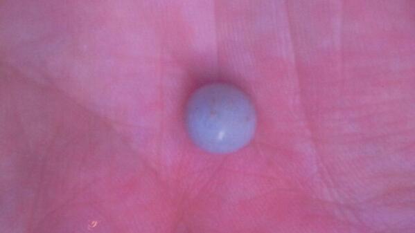 Jan/Bar Geertsema tweet media