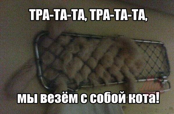 мы везем с собой кота слова. тратата мы везем с собой кота. тратата мы везем с собой кота. мы везем с собой кота. тра-та-та-та-та-та-та мы везем с собой кота.