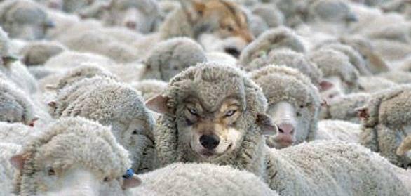 Ahirzamndadünyamenfati için dini alet eden riyakârlrçıkarSözleri baldantatlıdırBunlar kzu postunabürnmüş birerkurttur