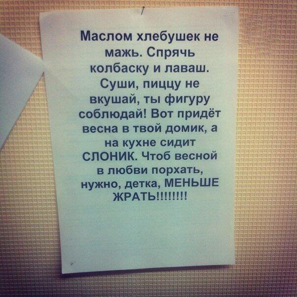 Прикол На Холодильник Для Похудения.