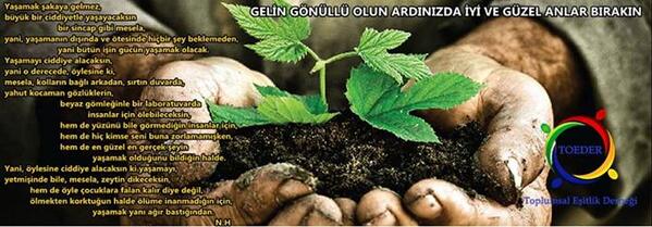 toederorg tweet picture
