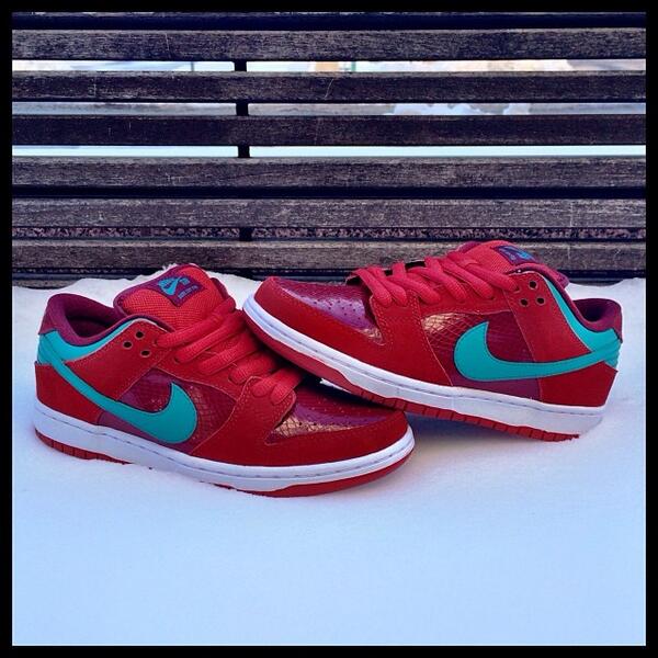 nike sb dunk low brickhouse