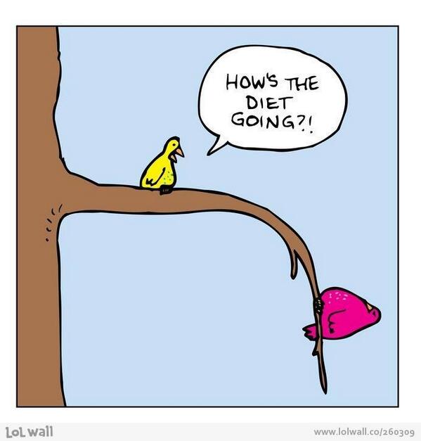 RussoSlugh's tweet image. HAHA! #alwaysenergized #holidaysolutions #2014resolutions