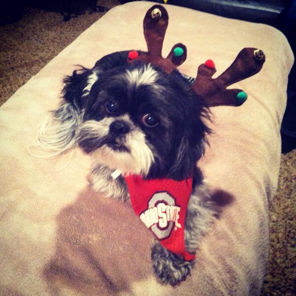 Stephen_Lenz's tweet photo. Merry Christmas Ya'll! http://t.co/YMzH3vHdAV