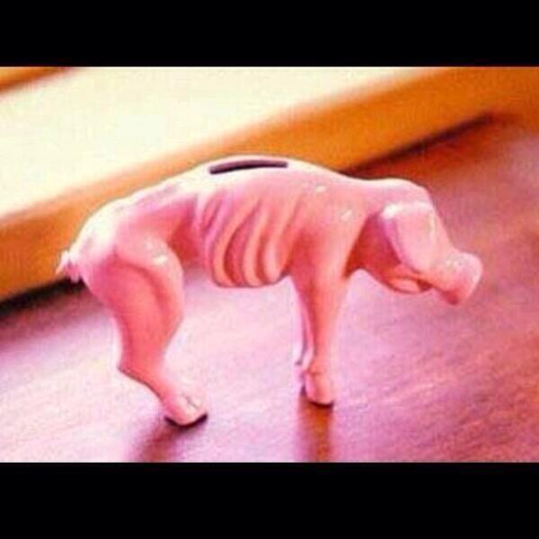 tvlerthegamer's tweet photo. my piggy bank be looking like http://t.co/cTXM7Ic3xg