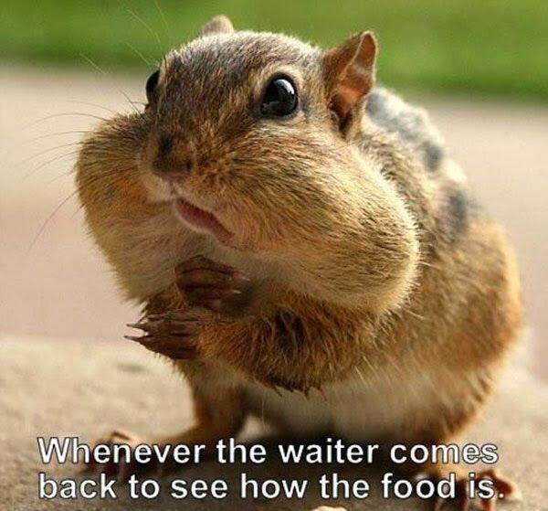 Men's Humor tweet media