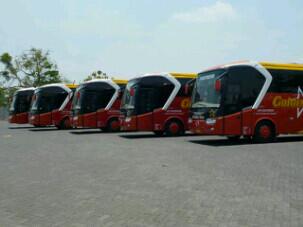 GoldenStarID's tweet photo. Ready  Tgl 30 Desember - 1 Januari 2014. Hotline : ( 031 ) 31005888 / Amel 085731912888 / Yuni . Thx http://t.co/pLpmcgiHJ4