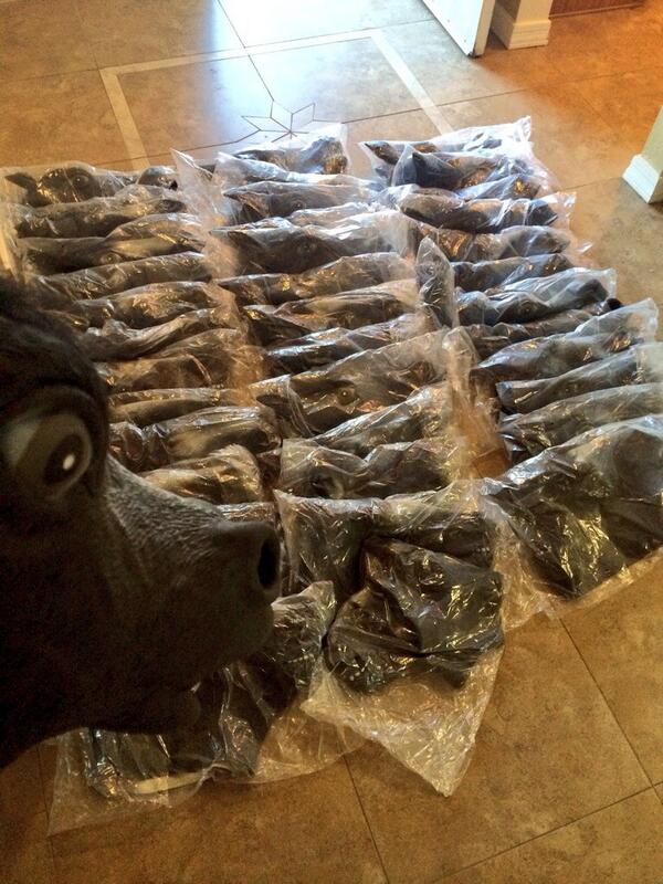 HorseHeading's tweet photo. Got 40 black horse head masks in the mail today. http://t.co/wlchSNJR5P