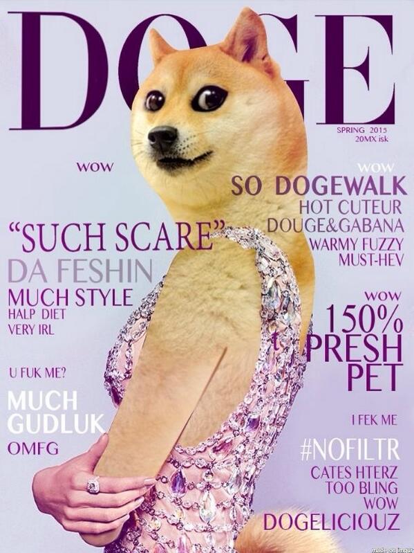 Papa_Sousuke's tweet photo. So dogewalk 

        wow 

      on teh cover of doge 
hotter then rei

                  da feshin shibe
so smexy http://t.co/FRdl8lpa16