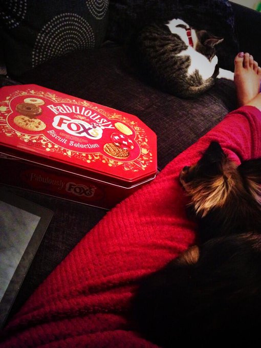 Mm, Foxs Biscwits.. 🍪 http://t.co/ugSomKSOoy<a href="/tag/nakedtanningsnapchat"class="tags"><span>#nakedtanningsnapchat</span></a>