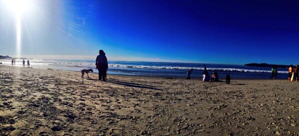 addieee333's tweet photo. 75 in December? @LaurenFleige http://t.co/LnnNE6n5pc