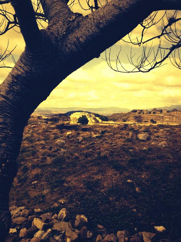 Addrich Mauch tweet media