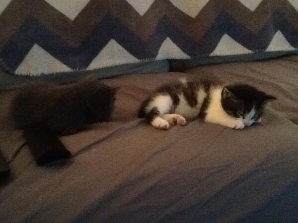 Rkels11's tweet photo. Cute! http://t.co/KBtLvyzEBI