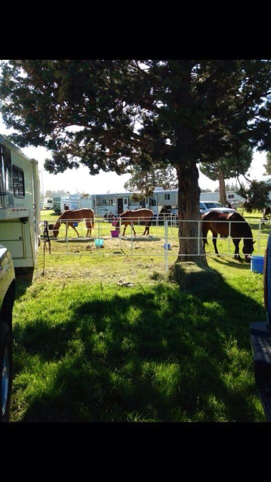 RodeoGirlsMarv's tweet photo. @Corrals2Go too. They travel insanely well and have never let me down. Saved me a bunch of times! #RodeoGirls http://t.co/xj80RuzZ8W