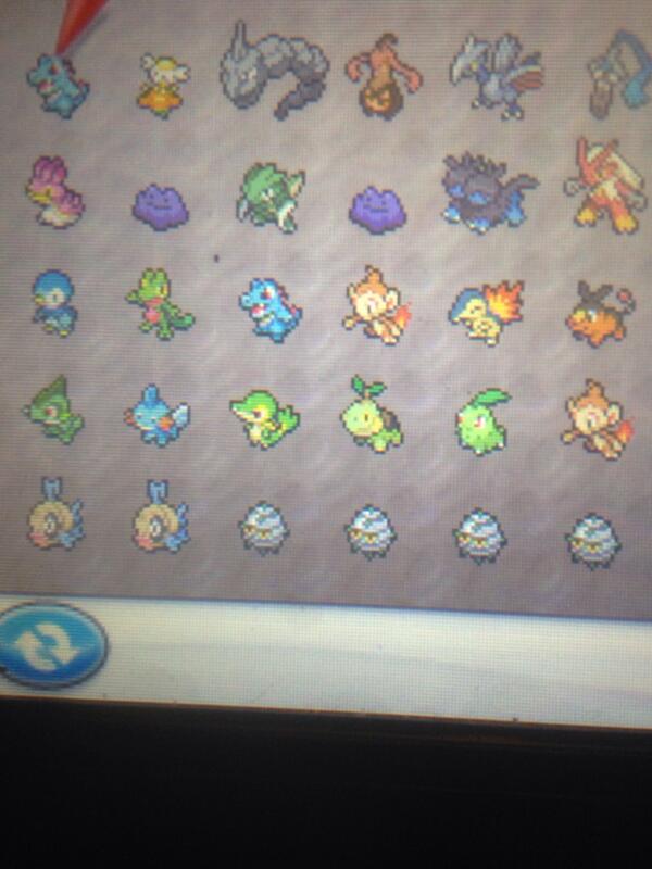 Willy_Will2's tweet photo. @shofufu824   5iv starters  egg moves on em. Beat me in a battle I will give you a full set ;). 4012-4472-7511 http://t.co/pmqGBptiPj