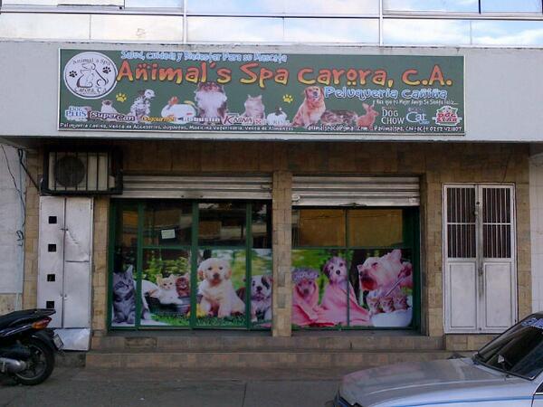 AnimalsSpa tweet picture