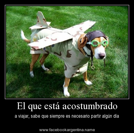 ChristianRodguz's tweet photo. El que esta acostumbrado a viajiar, sabe que siempre es necesario partir algun día. . Adios http://t.co/TBCse4GfeX