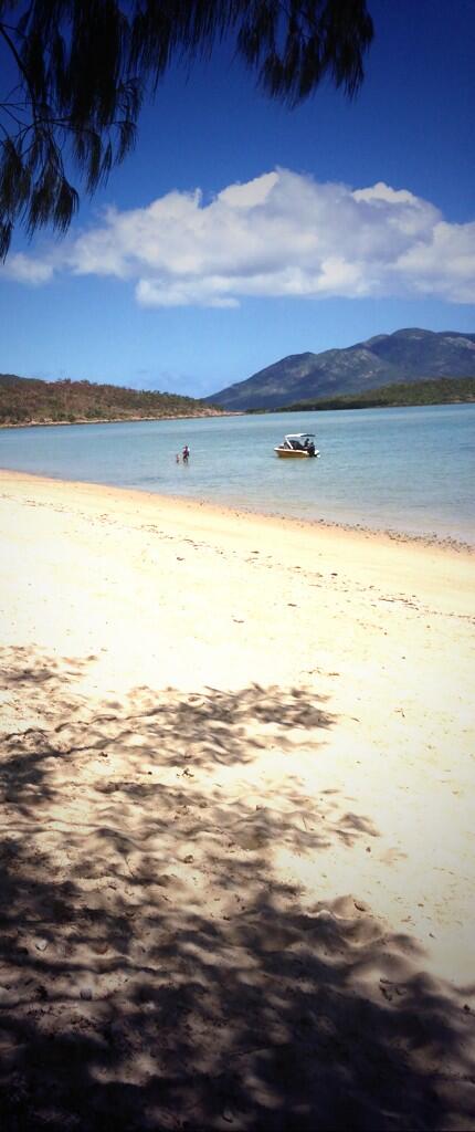 HusonTyler's tweet image. Day in the sun