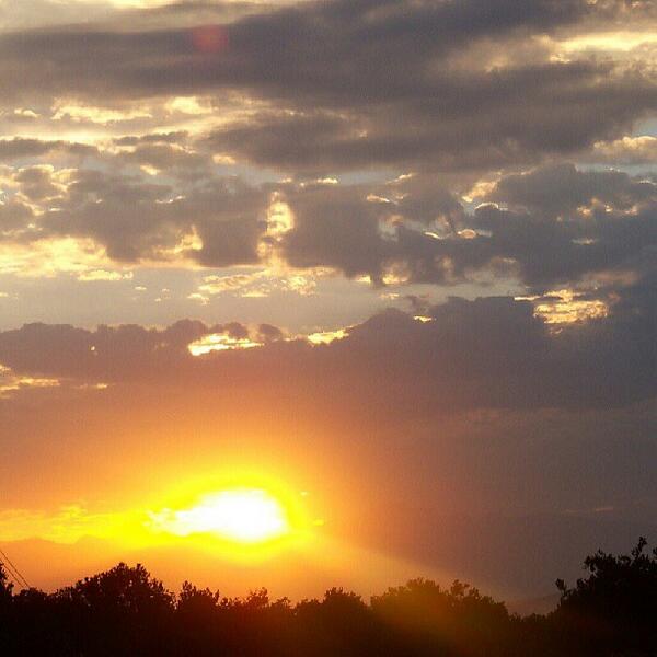 elcreepo70's tweet photo. @PNauticExpress Took this last summer before hiking Sequoia Park #CelestialEye http://t.co/6NxTtz3nei