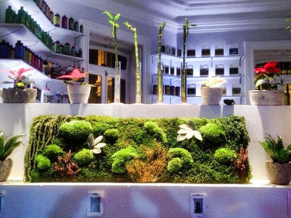 PotShopGC's tweet image. Customiza tu jardín vertical liofilizado con los complementos mas exclusivos.El mejor regalo para estas navidades.