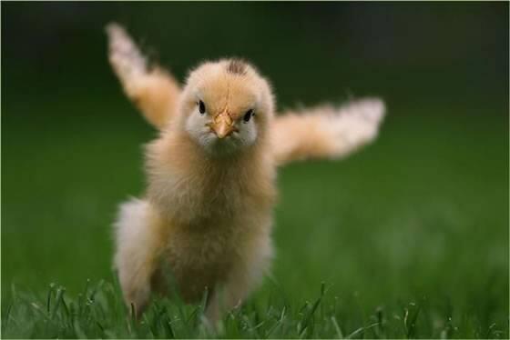 tattoolocker's tweet image. The distance between your dreams and reality is called action.