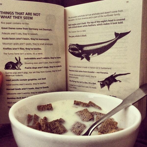 Enhancing my big brain at breakfast!!!