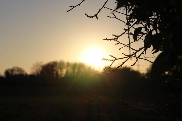 Will Hasleham (@will_hasleham) on Twitter photo 