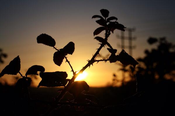 Will Hasleham (@will_hasleham) on Twitter photo 