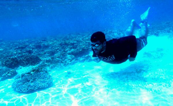 keishayatim's tweet photo. Hahahak RT @Raja_Wisata: Ini lumba2 jenis apa ya? RT @kris_andrias Bapak Duyung At Dermaga APL pulau pari #TripIn2013 http://t.co/0pGrYbX3F9