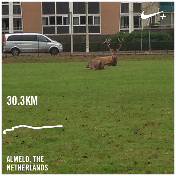 @nikerunning triple or nothing? :-P #bstrong #bambi I just ran 30.3 km with Nike+. go.nike.com/0lppiij #nikeplus