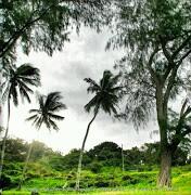 saeedjs's tweet image. جميل ورائع : محمية تسافو الطبيعية سحر البراري الكينية ! سبحان الله itunes.apple.com/us/app/abda-al…