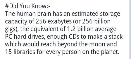 TaKo - koreanbbqtaco (@koreanbbqtaco) on Twitter photo 