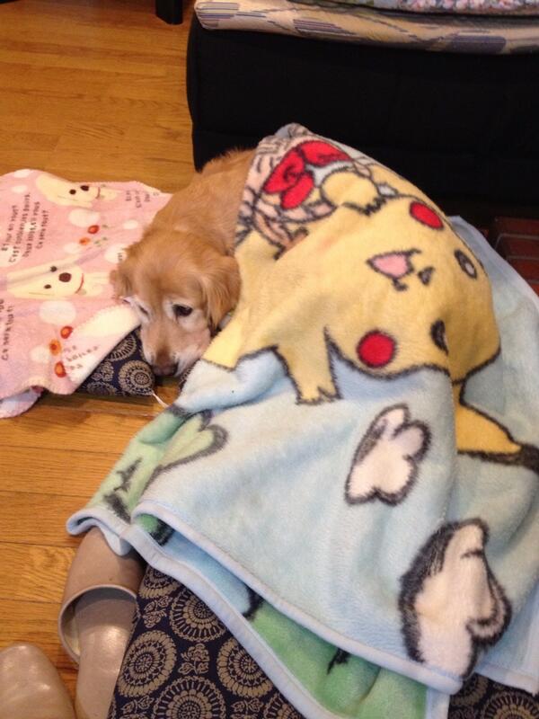 reohina2's tweet photo. 寒がり陽奈 http://t.co/IjQ2f1gKTj