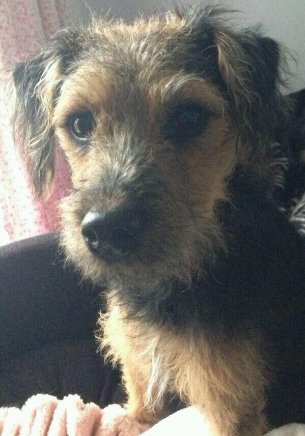 Jack Prior tweet media