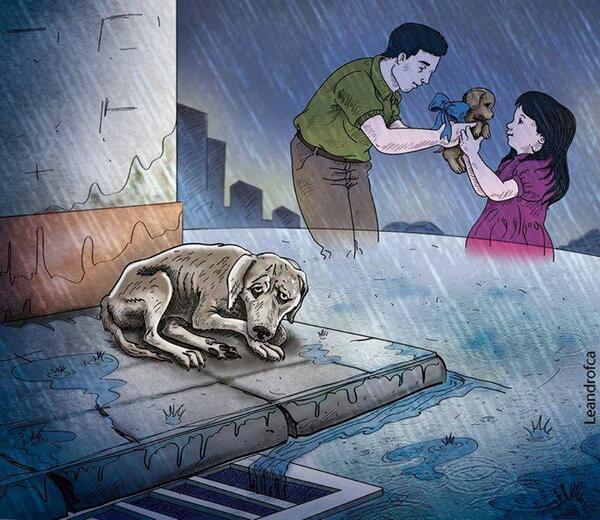 _Paisajes_'s tweet photo. Esta navidad no compres adopta. http://t.co/HaO3Ha92vh