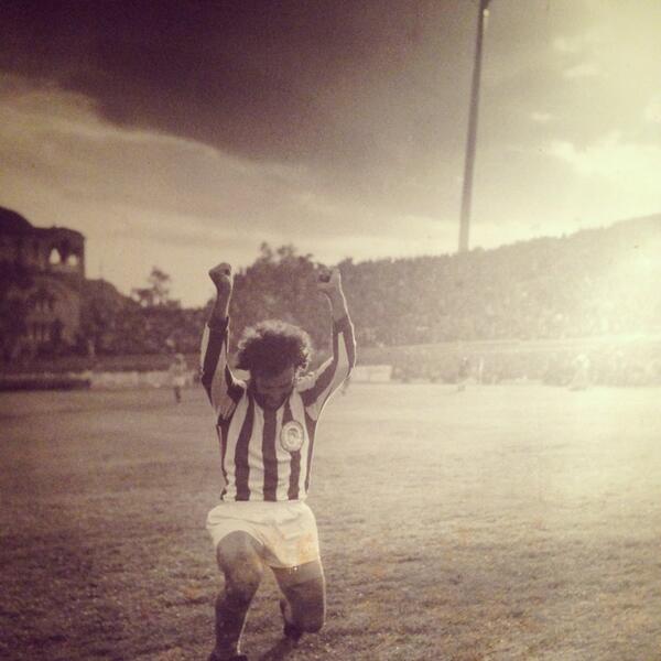 Cesar Arghirudis tweet media