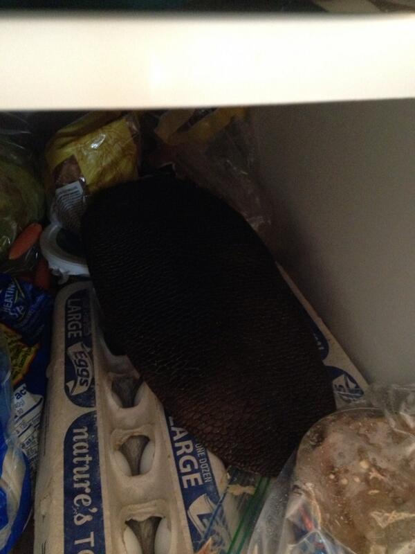 gullyrt56's tweet photo. What? Your family doesn't keep beaver tails in their fridge? #weirdos http://t.co/558aD40fyd