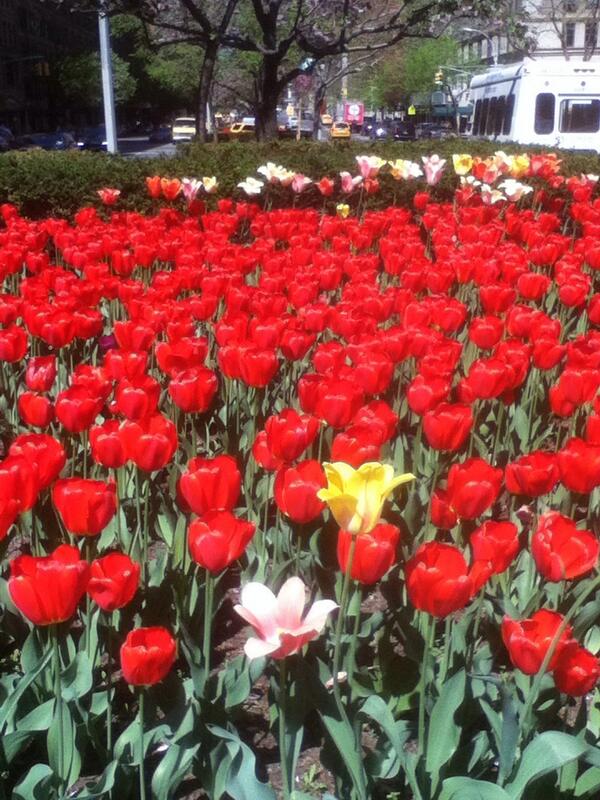 RemaxAnderson's tweet photo. In the winter, hope springs eternal....so let's close some deals before 2013 is gone.... http://t.co/6pty2HWi0T