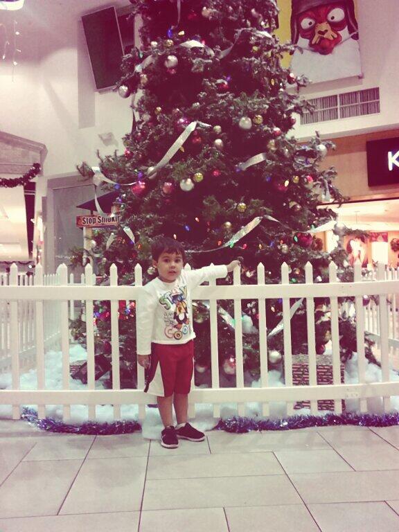 Amanda_Padron03's tweet image. #TooCuteToFunction